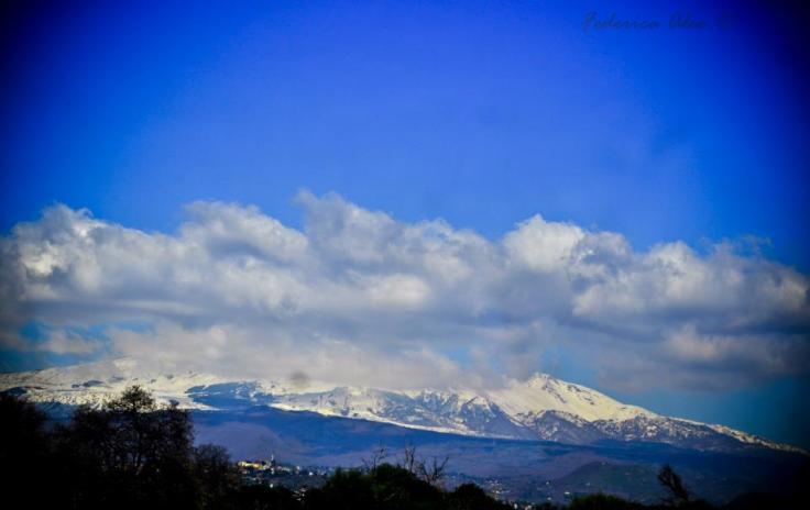 421835_261454927266950_1237189818_n