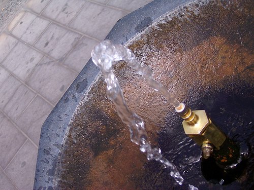 960134_10200578878428732_1830507418_n