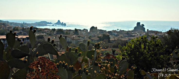 996895_419631278155756_830061963_n