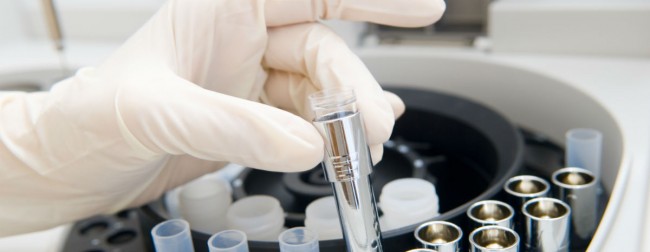 Ddl-Staminali-2013-Testo-650x252