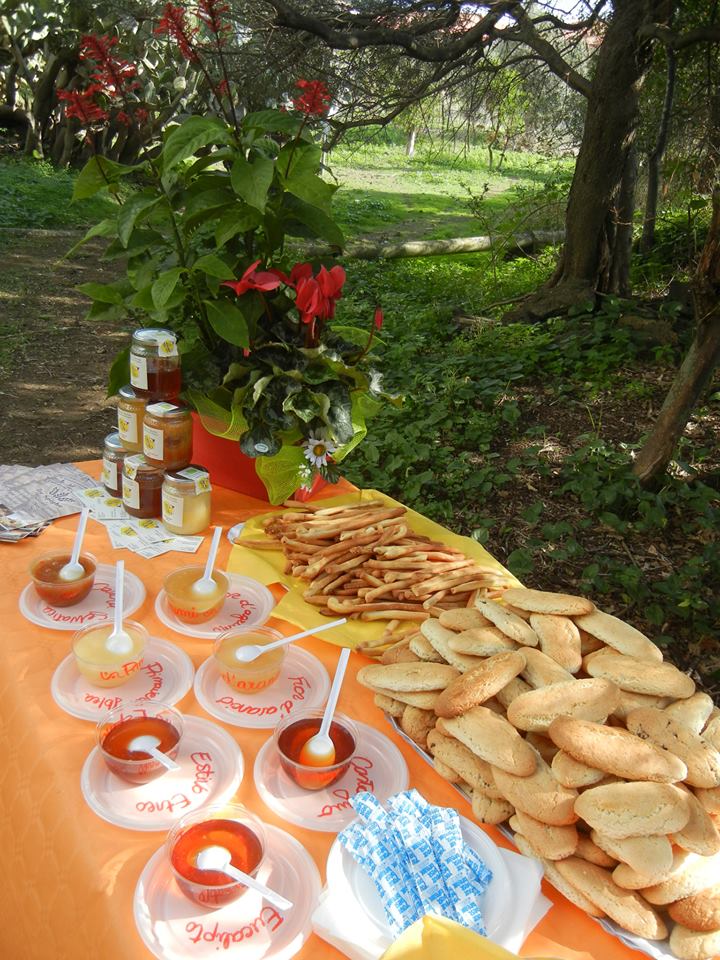 Degustazione di Miele e Marmellata 