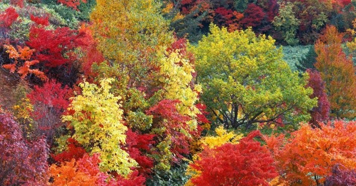 foto_autunno_7036B4-707x370