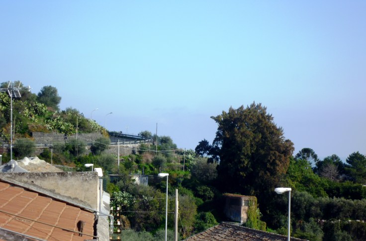 P1110291