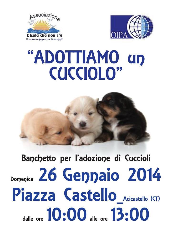 1450679_586046384813070_997847815_n