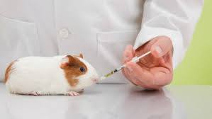 1598364_10202778779939959_1834651168_n