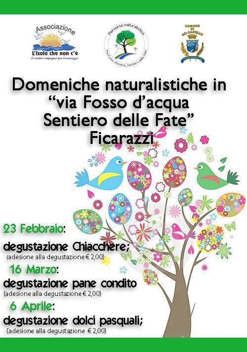 1899000_10202283809090933_1160239285_n