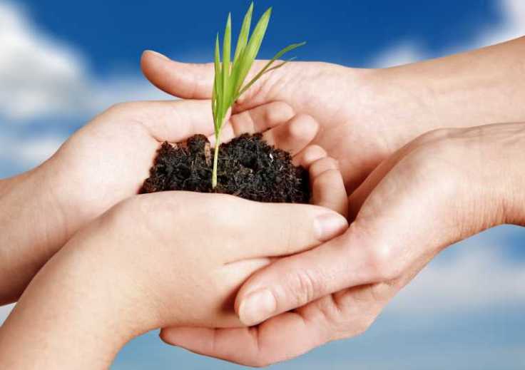 organic-burials-corpse-compost