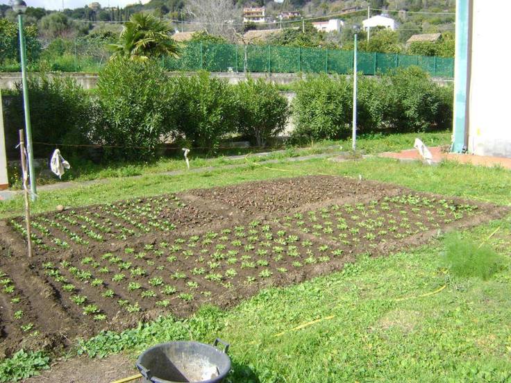 1620377_666972873370214_978220107_n