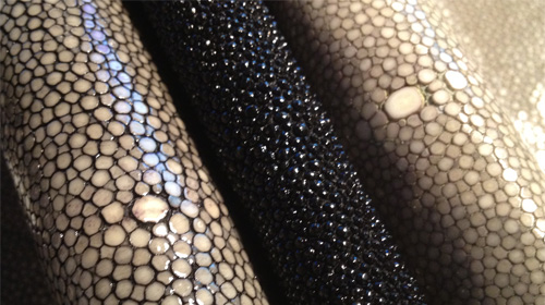 La pelle di squalo farà nuotare più velocemente.