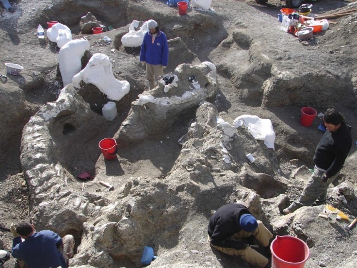 162041143-d845cead-b4b9-4dd0-8069-d3a3434d0866