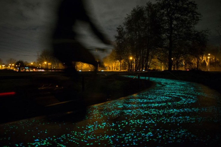 van-gogh-starry-night-glowing-bike-path-daan-roosengaarde-5-800x533