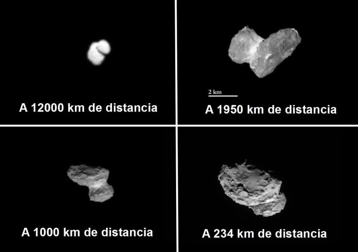 10575247_744403288938991_5191119367673745841_o