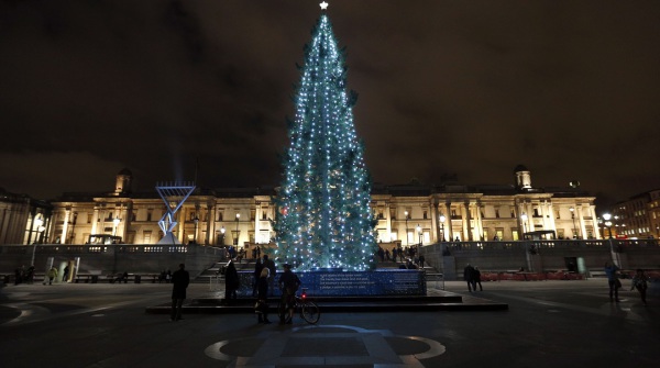 The Trafalgar Square Christmas Tree