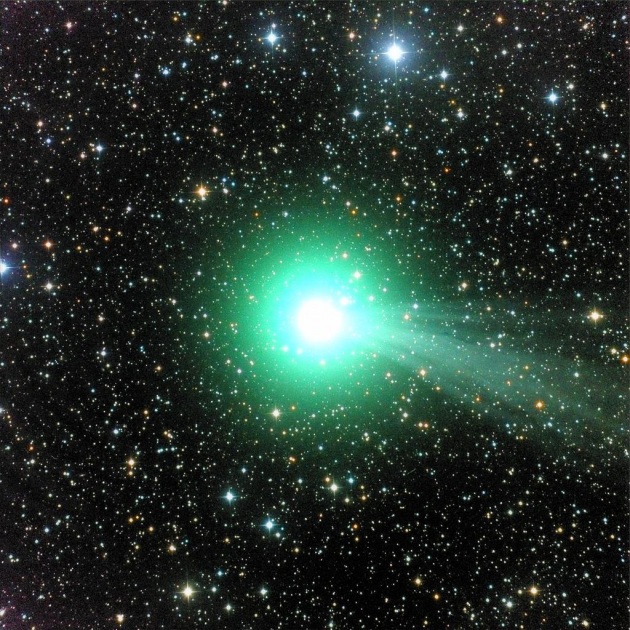 lovejoy.630x360