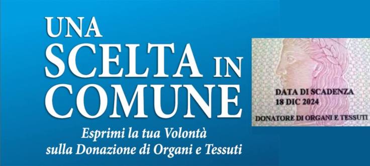 10862523_781859318536558_1331854641717937967_o