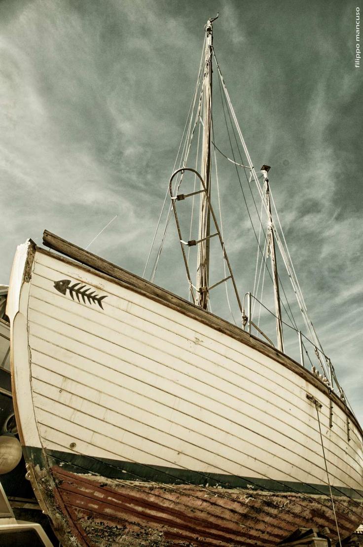 LiscaBianca-nel-2013-06