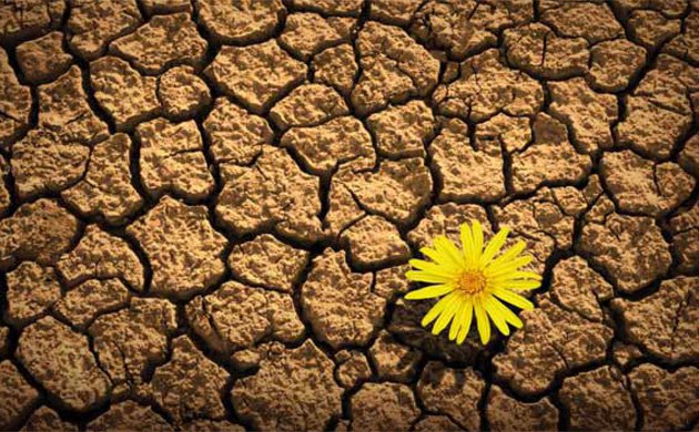 Robusto-o-antifragile-perchè-conviene-essere-resilienti