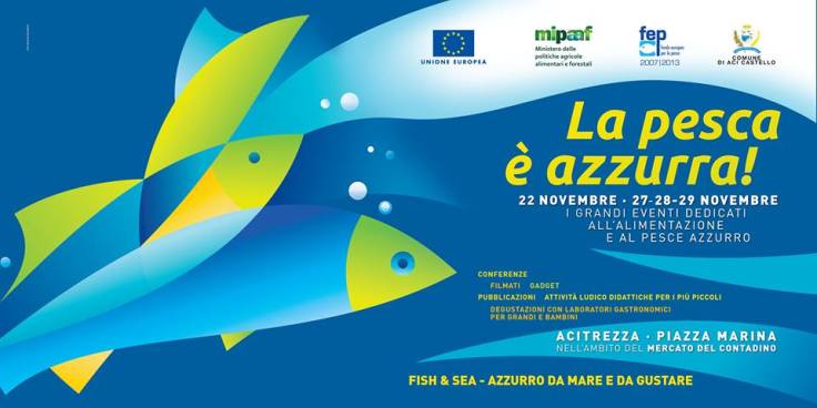 12241743_545289865627618_578659223561370758_n