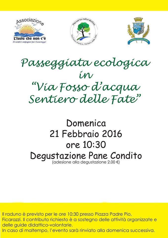 12736290_10207179595162525_92388891_n