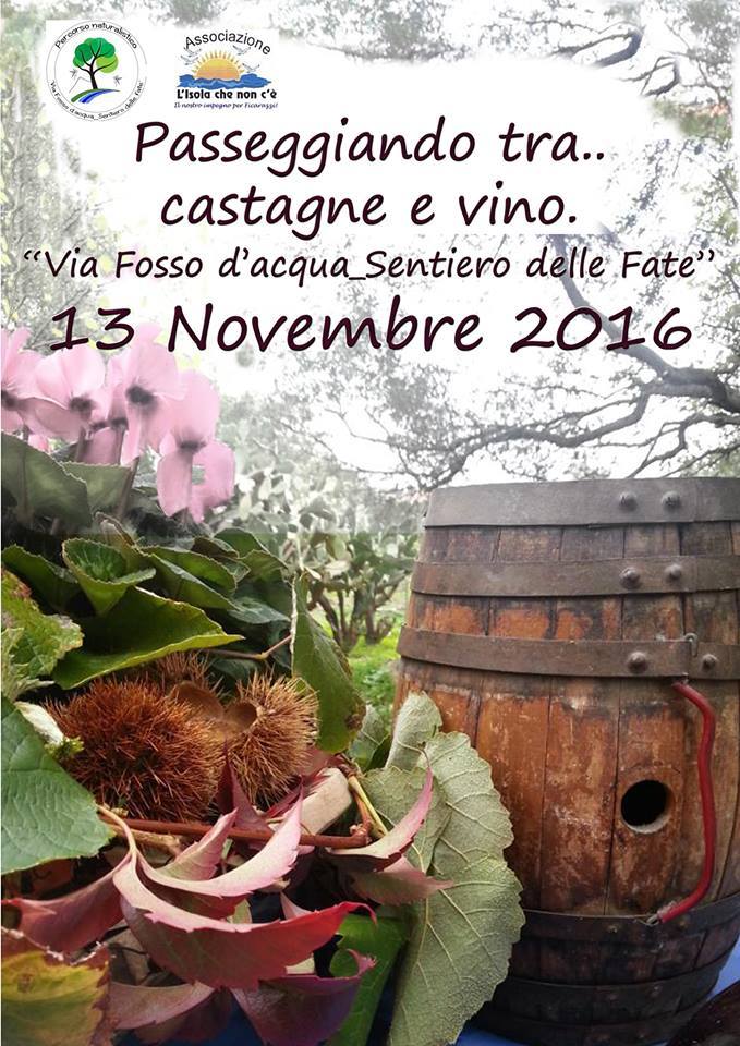 14619929_10209071960950487_503973507_n